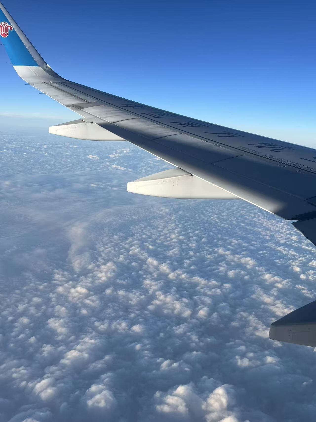 The Journey of Life: Lessons from Economics