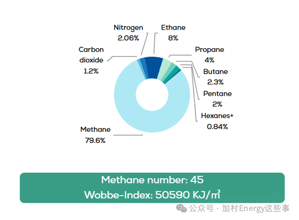 A Methodological Approach to Selecting Associated Gas Power Units: Engineering Logic and Risk Mitigation